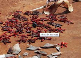 Африка в моих глазах
