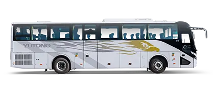 C12