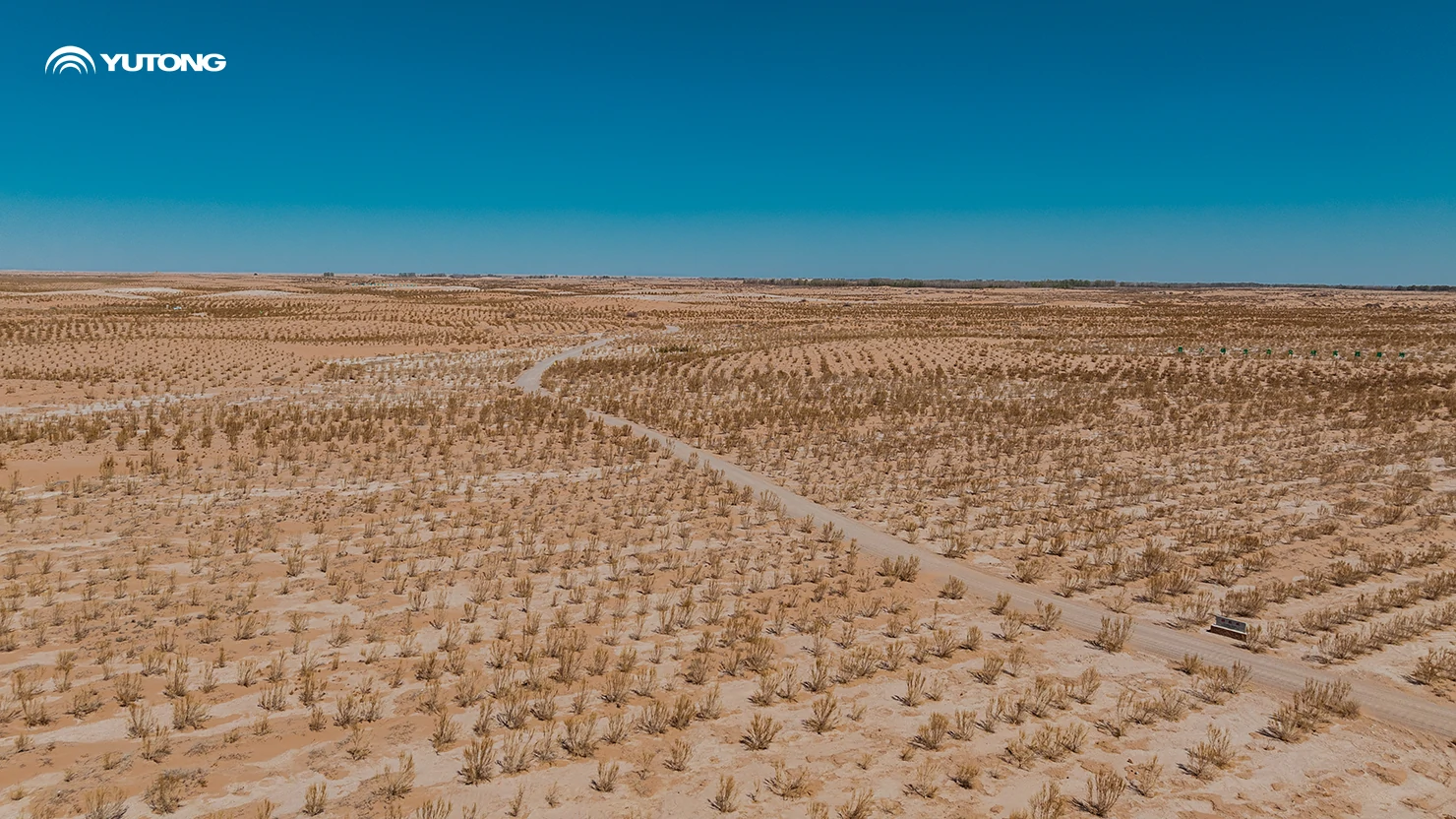 Yutong запускает программу «Лес с нулевым уровнем выбросов» (Net Zero Forest) на 2026 год: Посадка 44 218 деревьев в провинции Ганьсу на первом этапе